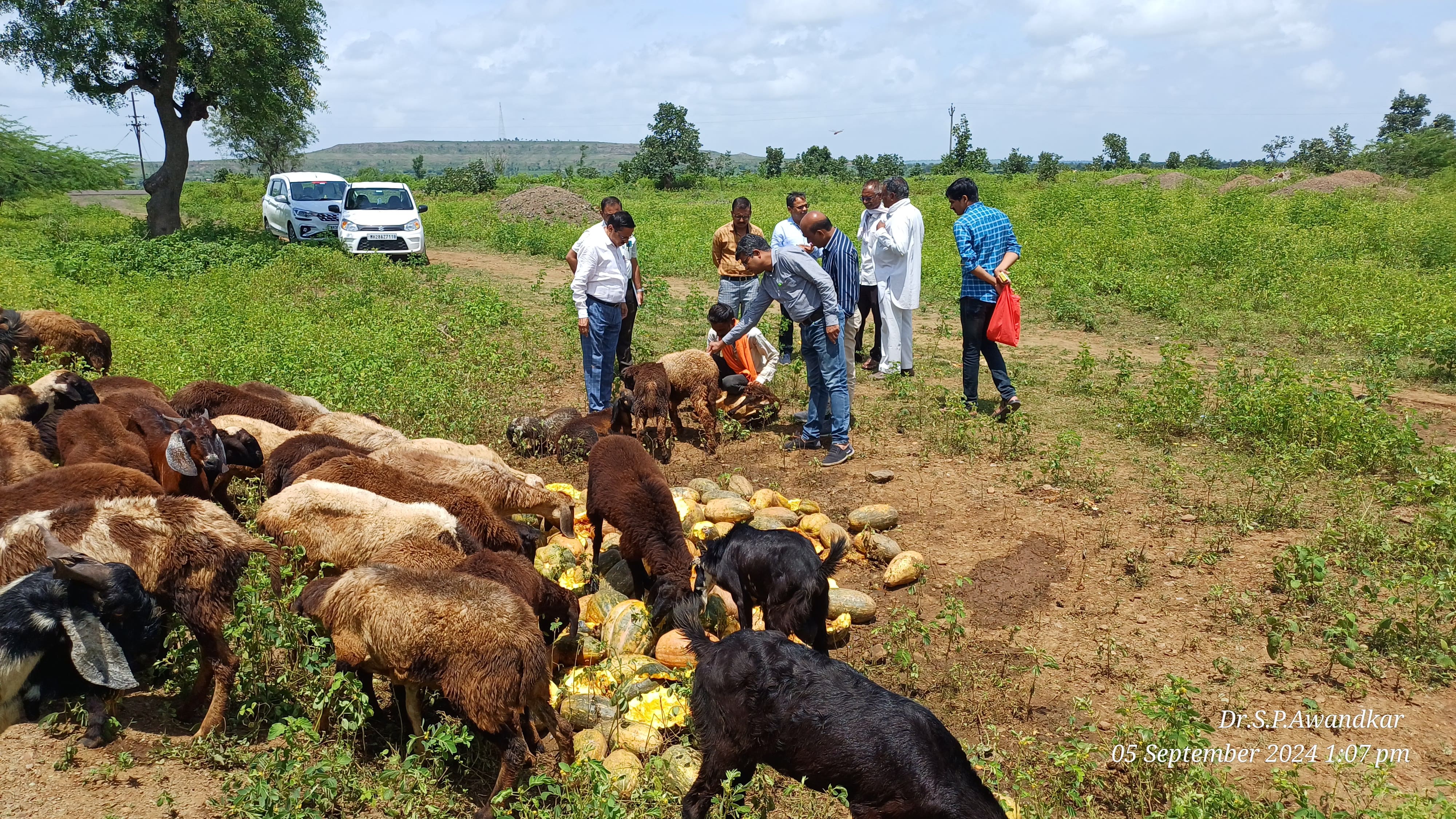 53. Outbreak Investigation